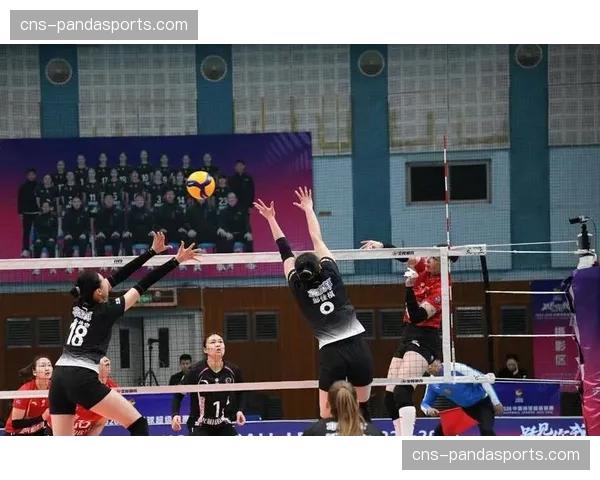 浙江青少年排球冠军赛同步进行身体素质测验，全面检验运动员综合素养