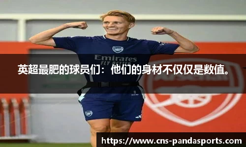 熊猫体育官网