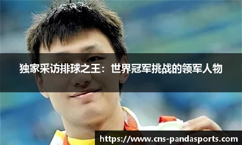 独家采访排球之王：世界冠军挑战的领军人物